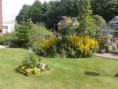 /album/photo-gallery-hook-open-gardens-2013/chysauster-hog-2013-1-small-jpg1/